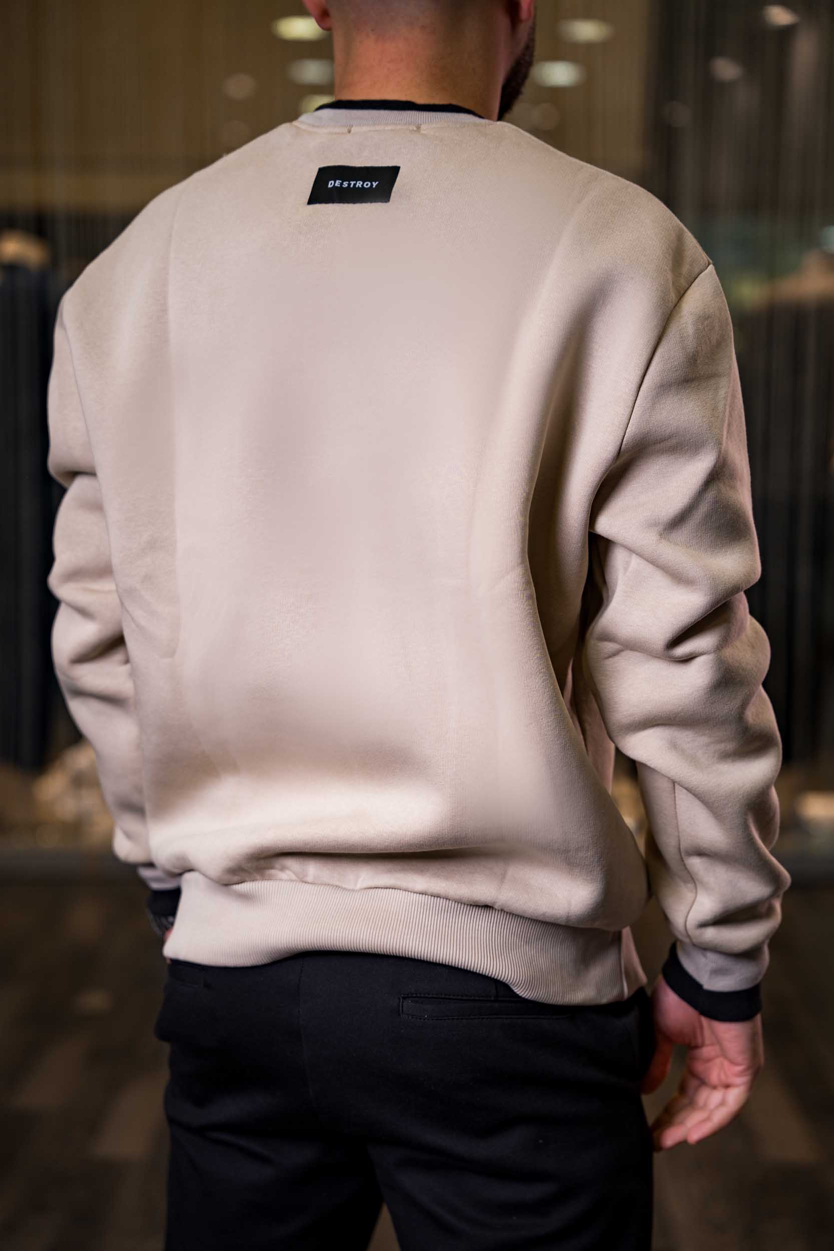 Ανδρικό φούτερ Destroy Allan Μπέζ - Image 3