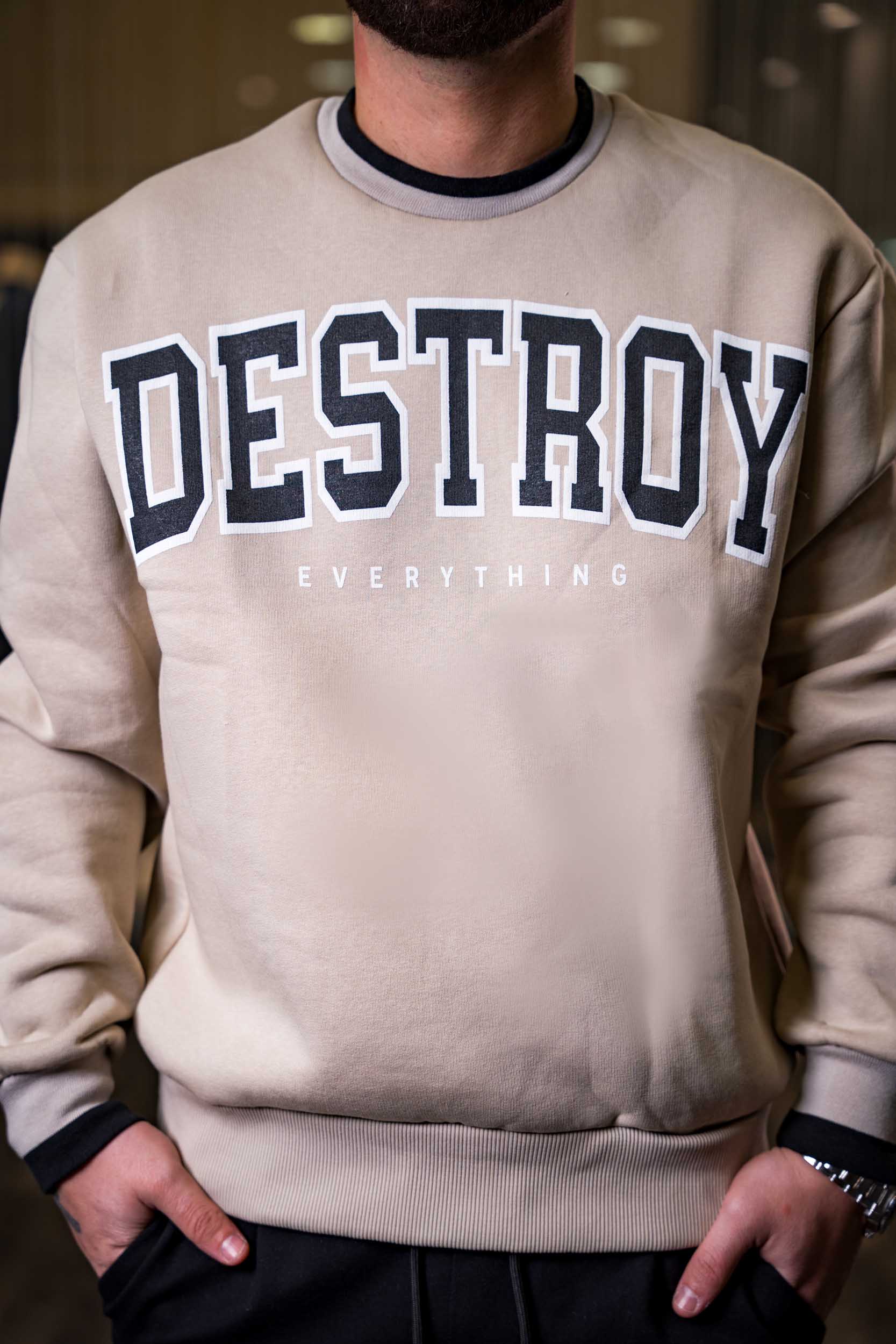 Ανδρικό φούτερ Destroy Allan Μπέζ - Image 2